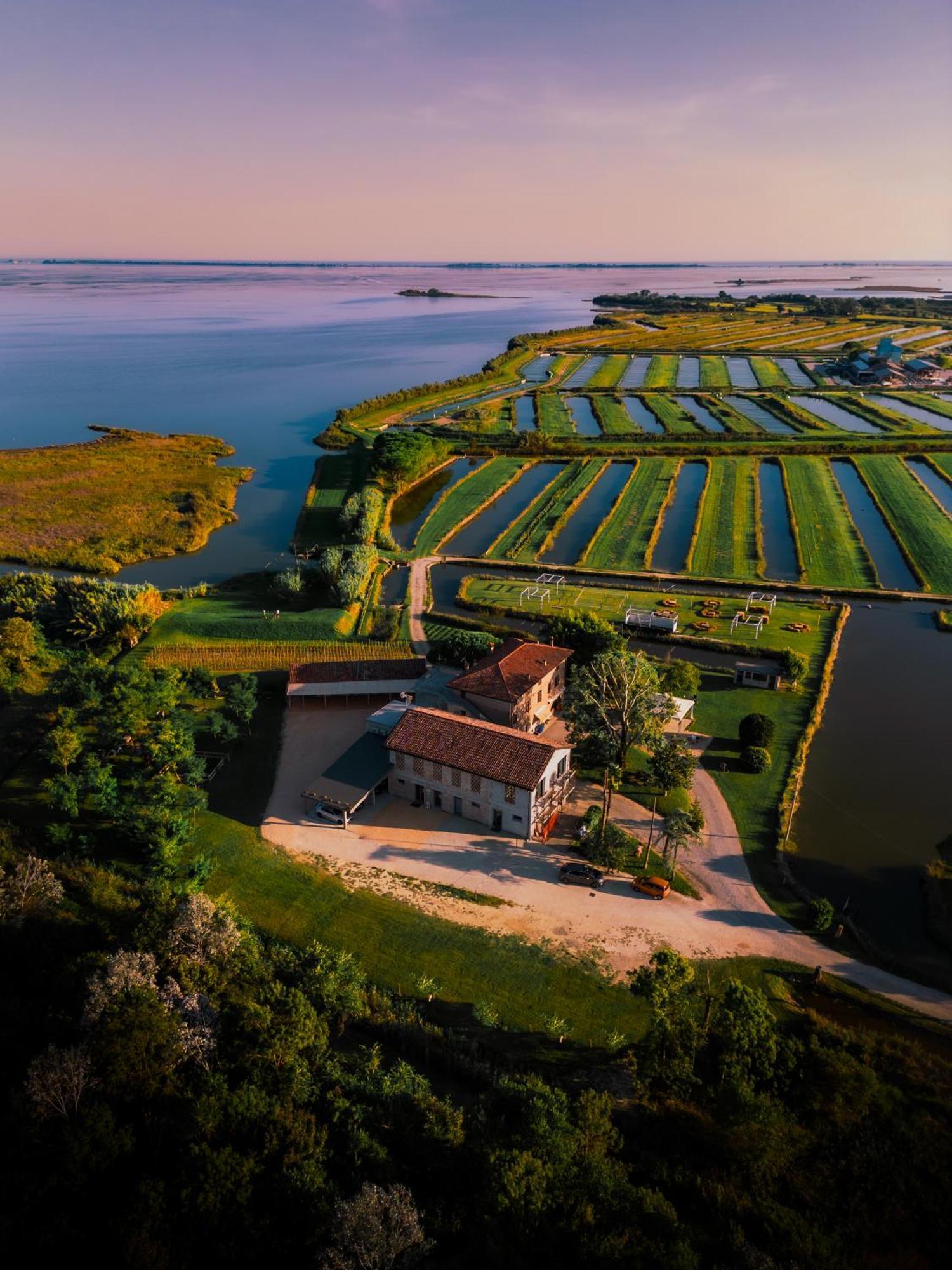 Agriturismo Valle Ca' Del Lovo Carlino 外观 照片